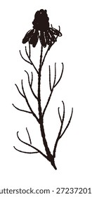 Ilustrações monocromáticas de camomila desenhadas à mão (molduras, coroas, padrões, etc.)