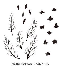 Ilustrações monocromáticas de camomila desenhadas à mão (molduras, coroas, padrões, etc.)