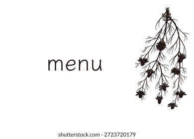 Ilustrações monocromáticas de camomila desenhadas à mão (molduras, coroas, padrões, etc.)