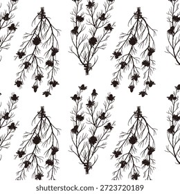 Ilustrações monocromáticas de camomila desenhadas à mão (molduras, coroas, padrões, etc.)