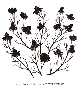 Ilustrações monocromáticas de camomila desenhadas à mão (molduras, coroas, padrões, etc.)