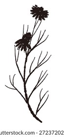 Ilustrações monocromáticas de camomila desenhadas à mão (molduras, coroas, padrões, etc.)