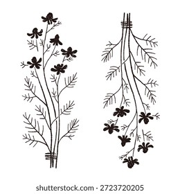 Ilustrações monocromáticas de camomila desenhadas à mão (molduras, coroas, padrões, etc.)