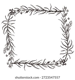 Ilustrações monocromáticas desenhadas à mão de rosmaninho (molduras, coroas, padrões, etc.)