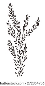 Ilustrações monocromáticas desenhadas à mão de rosmaninho (molduras, coroas, padrões, etc.)