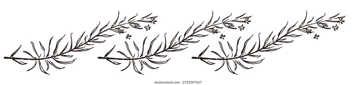 Ilustrações monocromáticas desenhadas à mão de rosmaninho (molduras, coroas, padrões, etc.)