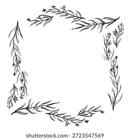 Ilustrações monocromáticas desenhadas à mão de rosmaninho (molduras, coroas, padrões, etc.)