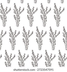 Ilustrações monocromáticas desenhadas à mão de rosmaninho (molduras, coroas, padrões, etc.)