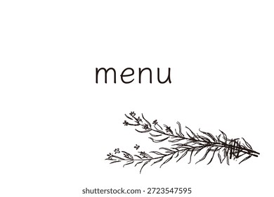 Ilustrações monocromáticas desenhadas à mão de rosmaninho (molduras, coroas, padrões, etc.)