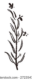 Ilustrações monocromáticas desenhadas à mão de rosmaninho (molduras, coroas, padrões, etc.)