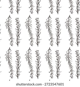 Ilustrações monocromáticas desenhadas à mão de rosmaninho (molduras, coroas, padrões, etc.)