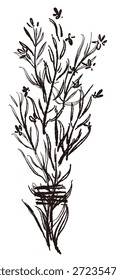 Ilustrações monocromáticas desenhadas à mão de rosmaninho (molduras, coroas, padrões, etc.)