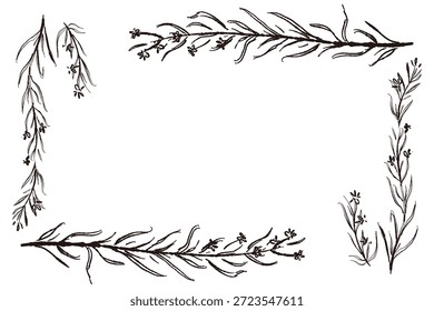 Ilustrações monocromáticas desenhadas à mão de rosmaninho (molduras, coroas, padrões, etc.)