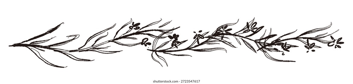 Ilustrações monocromáticas desenhadas à mão de rosmaninho (molduras, coroas, padrões, etc.)