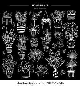 Hand-drawn monochrome plants in pots on black background. Vector illustration with flowers, cactus, and succulents. Natural design elements can be used for postcards, banners, websites or ads.