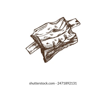 Hand-drawn monochrome vector sketch of barbecue ribs. Doodle vintage illustration. Decorations for the menu of cafes and labels. Engraved image.	