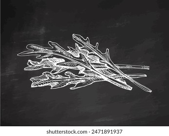 Hand-drawn monochrome vector sketch of a bunch of greens, arugula. Doodle vintage illustration. Decorations for the menu of cafes and labels. Engraved image on chalkboard background.	