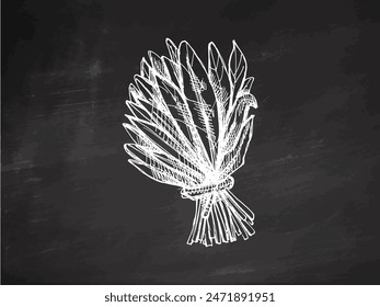 Dibujado a mano boceto de Vector monocromo de un montón de verdes, espinacas. Ilustración vintage de Doodle. Decoraciones para el menú de cafés y etiquetas. Imagen grabada sobre fondo de pizarra.	