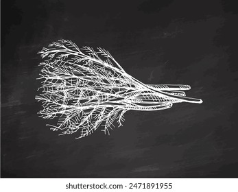 Hand-drawn monochrome vector sketch of a bunch of greens, dill. Doodle vintage illustration. Decorations for the menu of cafes and labels. Engraved image.	