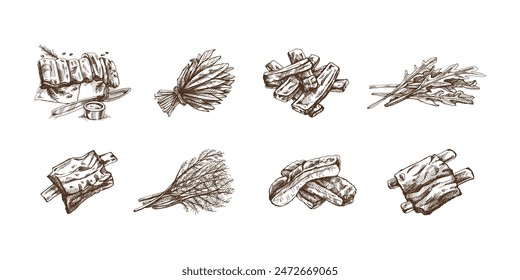 Hand-drawn monochrome vector sketch set of barbecue ribs and a greens. Doodle vintage illustration. Decorations for the menu of cafes and labels. Engraved image.