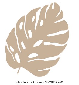 Hand-drawn Monstera leaf with holes. Vector botanical trendy nature greenery leafs isolated on white background.