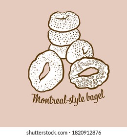 Hand-drawn Montreal-style bagel bread illustration. Yeast bread, usually known in Canada. Vector drawing series.