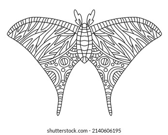 Hand-drawn moth colouring page for adults vector illustration