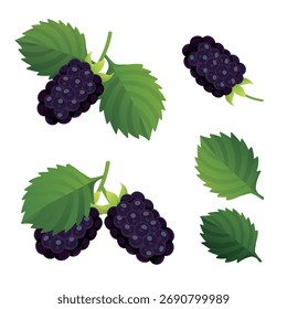 Hand-drawn mulberries fruit with two green leaves in soft pastel colors. Perfect for food illustrations, packaging, stickers, and cute designs.