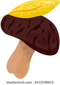 Hand-drawn mushroom with brown cap and cream stalk. Wild forest fungus, natural edible bolete. Autumn harvesting concept vector illustration.