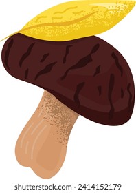 Hand-drawn mushroom with brown cap and cream stalk. Wild forest fungus, natural edible bolete. Autumn harvesting concept vector illustration.