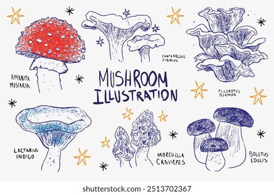 Ilustrações de cogumelos desenhadas à mão com a vibrante Amanita muscaria, Morel e outras espécies de fungos em esboços detalhados e divertidos.