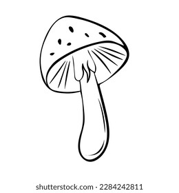 Hand-drawn mushroom. Vector illustration in the style of a doodle