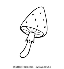 Hand-drawn mushroom. Vector illustration in the style of a doodle