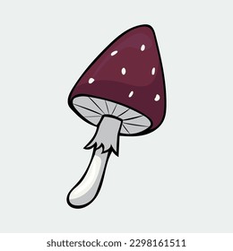 Hand-drawn mushroom. Vector illustration in the style of a doodle.