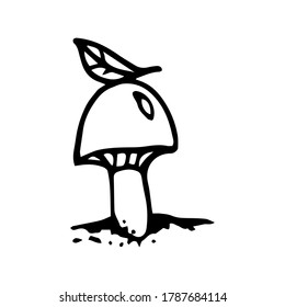 Hand-drawn mushrooms doodle autumn set. Vector illustration