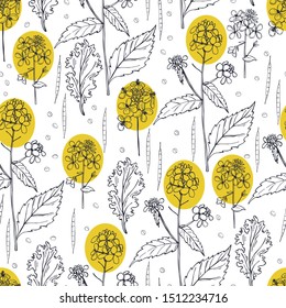 Hand-drawn mustard plant.  Vector  seamless pattern.