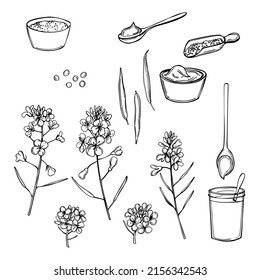 Hand-drawn mustard set.  Vector sketch illustration.