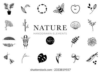Handdrawn nature elements, Doodle illustrations, Natural drawings