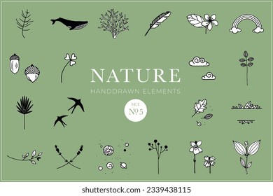 Handdrawn nature elements, Doodle illustrations, Natural drawings