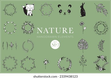 Handdrawn nature elements, Doodle illustrations, Natural drawings