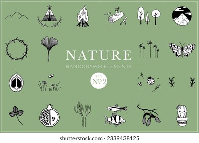 Handdrawn nature elements, Doodle illustrations, Natural drawings