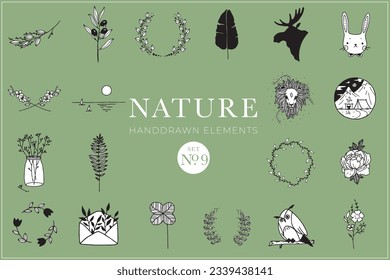 Handgezeichnete Naturelemente, Doodle-Illustrationen, Naturzeichnungen