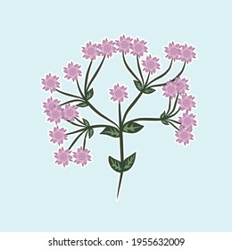 Flor de nata dibujada a mano. Ilustración vector abstracta para tarjeta, pancarta. Diseño floral para la decoración de postal, invitación a la boda, saludo de cumpleaños. Rama con pétalos rosados de sakura.