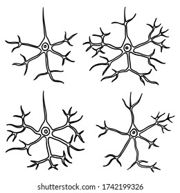 手描きのニューロン ニューロン細胞 ピラミッド型ニューロンの簡単なイラスト 脳皮質細胞 科学 神経生物学 神経科学 生物学 脳 黒い輪郭 のベクター画像素材 ロイヤリティフリー