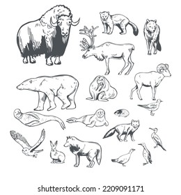 Hand-drawn Northern Animals And Birds.Vector Sketch  Illustration.