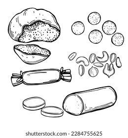Nueces dibujadas a mano. Marzipan. Ilustración de esbozo del vector. 