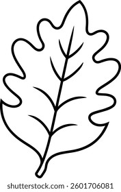 Hand-Drawn Oak Leaf Outline – Simple Vector Illustration