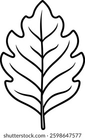 Hand-Drawn Oak Leaf Outline Vector – Nature and Botanical Illustration
