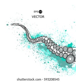 Hand-drawn octopus in the sea. Vector illustration