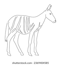 Hand-drawn Okapi. Vector editable stroke.